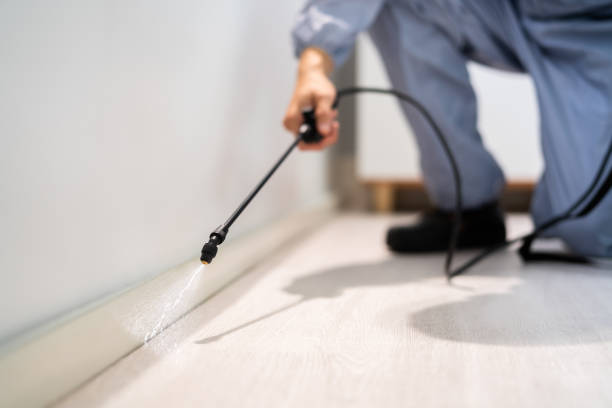Licensed Rodent Control service in Gladwin County County, MI - Nex Pest Control
